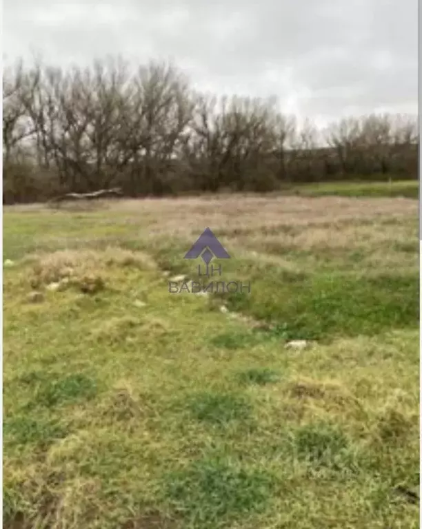 Участок в Ростовская область, Волгодонской район, Романовская ст-ца ... - Фото 1