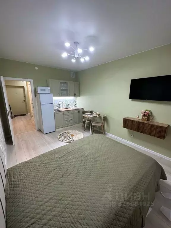 Студия Санкт-Петербург бул. Александра Грина, 4 (25.0 м) - Фото 0