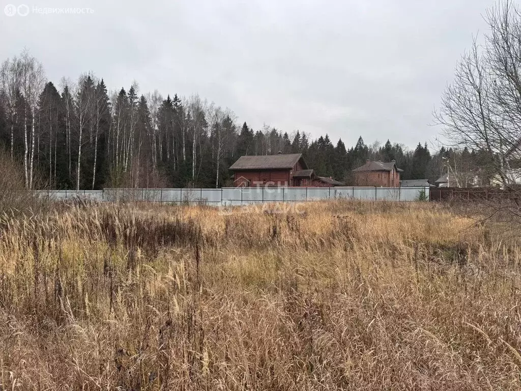 Участок в Московская область, городской округ Щёлково, КП Медвежье ... - Фото 1