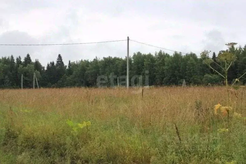 Участок в Архангельская область, Котласский муниципальный округ, ... - Фото 1