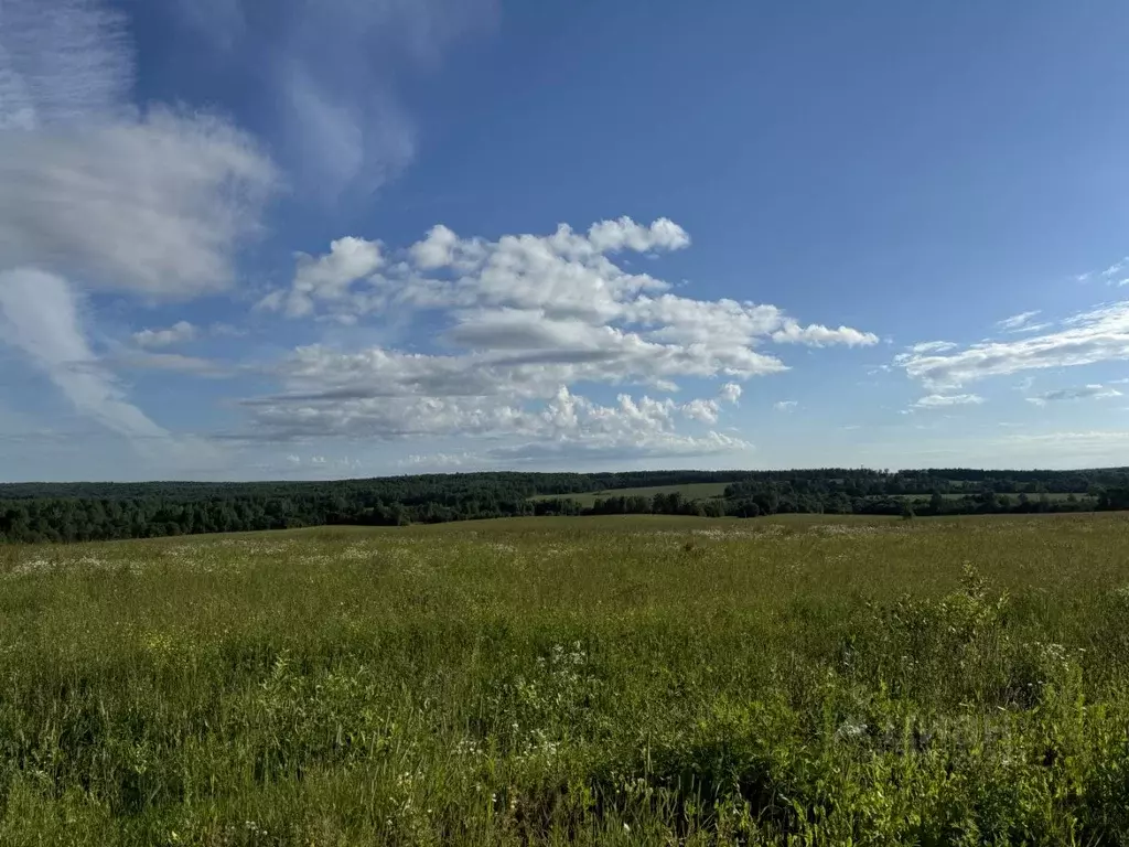 Участок в Московская область, Мытищи городской округ, д. Еремино  ... - Фото 1