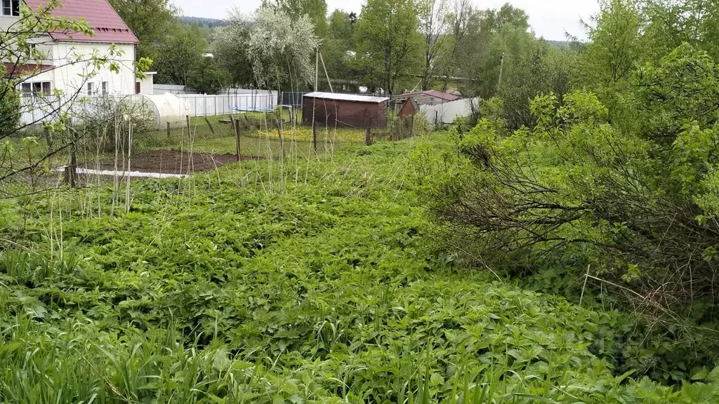 Участок в Московская область, Солнечногорск городской округ, д. Новая  ... - Фото 1