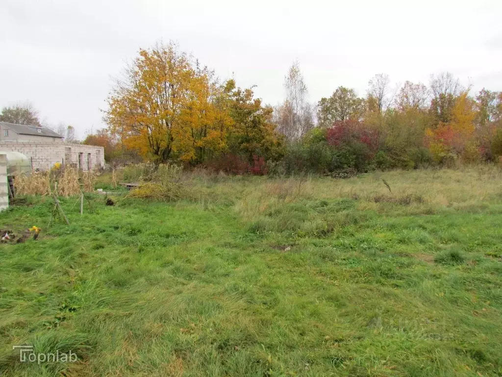 Участок в Калининградская область, Янтарный городской округ, пос. ... - Фото 1