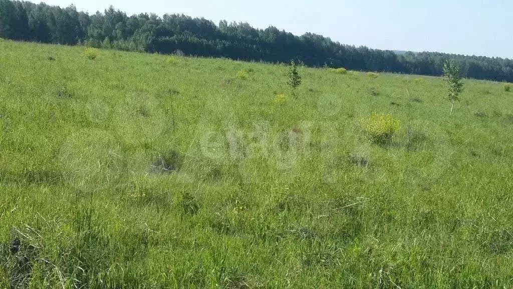 Участок 6 га (СНТ, ДНП) - Фото 0