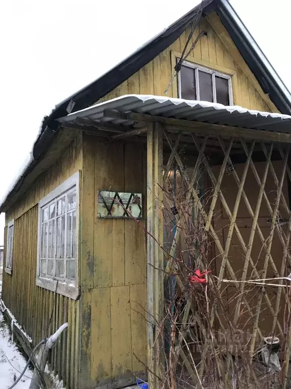 Участок в Московская область, Пушкинский городской округ, Лесной пгт, ... - Фото 1