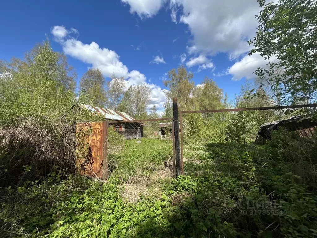 Участок в Ленинградская область, Выборгский район, Красносельское ... - Фото 0