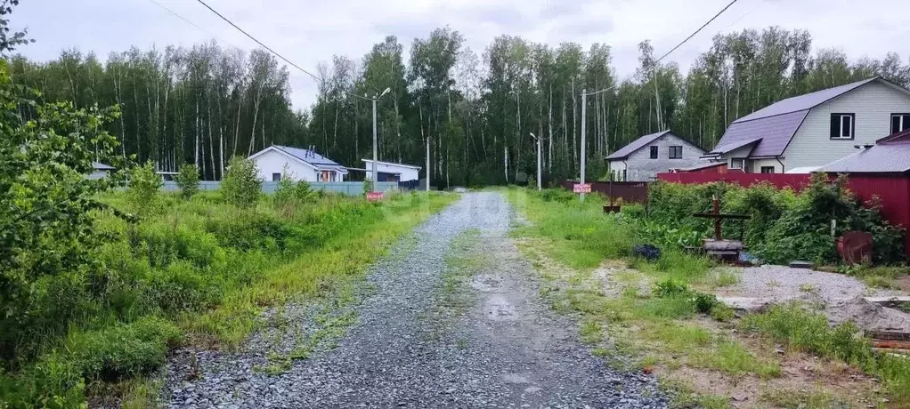 Участок в Тюменская область, Тюменский муниципальный округ, д. ... - Фото 1