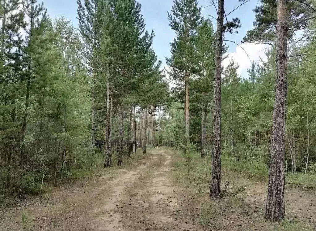 Участок в Новосибирская область, Новосибирский район, Барышевский ... - Фото 0