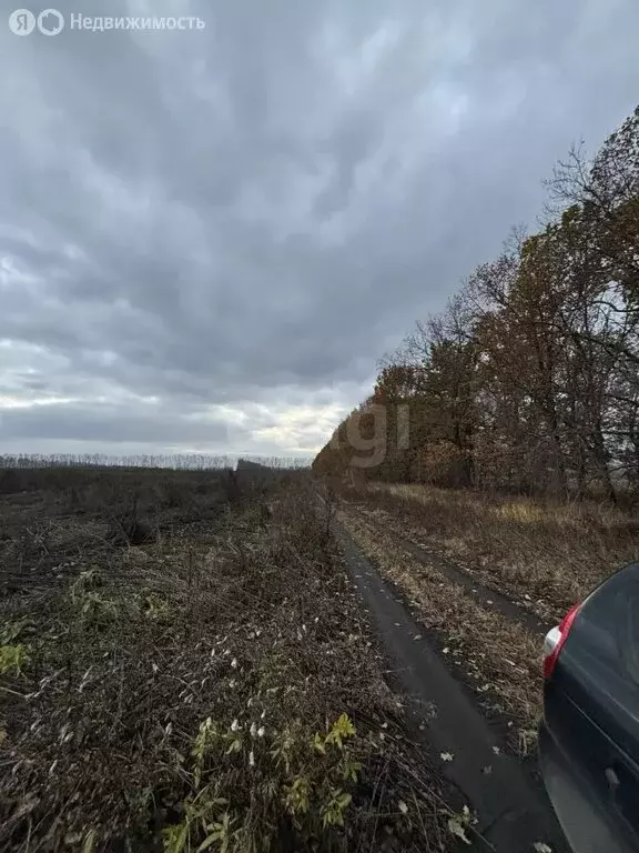 Участок в Республика Мордовия, городской округ Саранск, посёлок ... - Фото 2