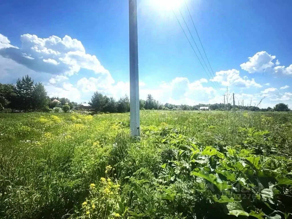Участок в Тульская область, Тула городской округ, д. Новая Знаменка ... - Фото 2