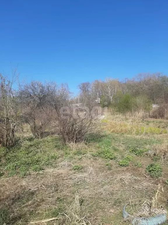 Участок в Амурская область, Благовещенск  (11.07 сот.) - Фото 1