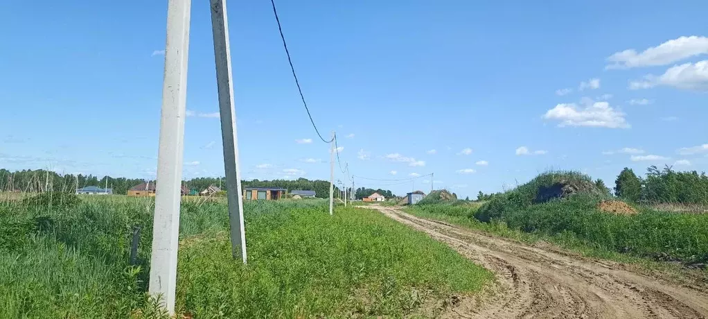 Участок в Тюменская область, Тюменский район, с. Каменка, Завидово кп  ... - Фото 1
