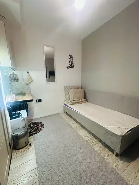 Студия Московская область, Истра ул. Ленина, 129 (15.0 м) - Фото 2