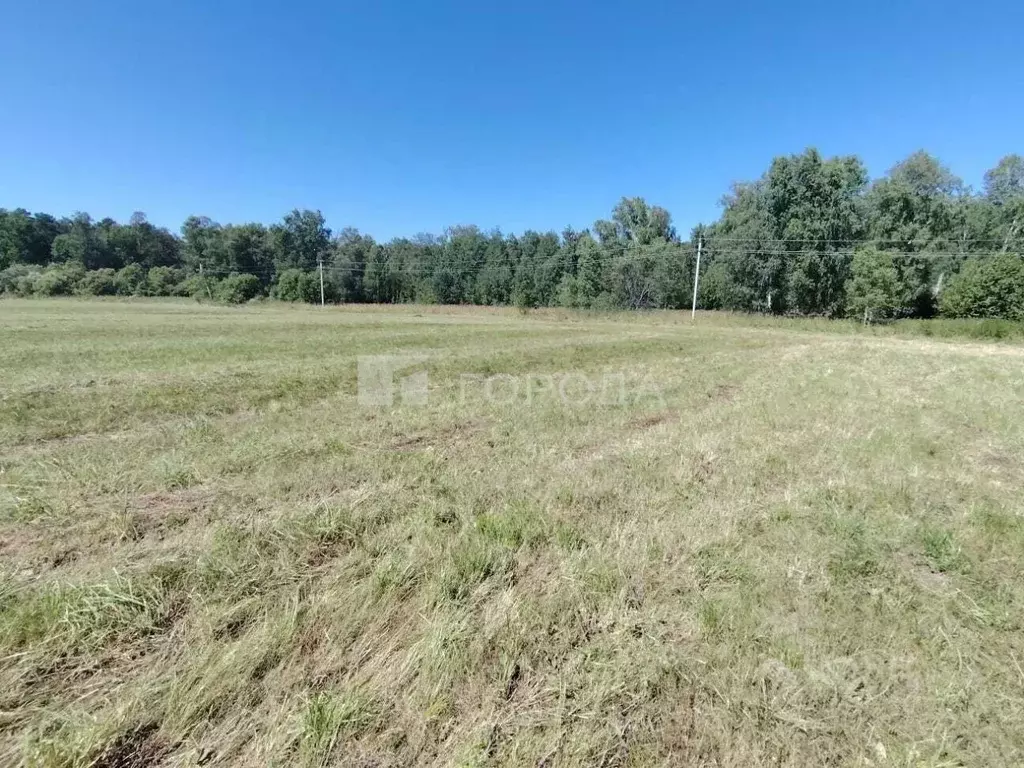 Участок в Томская область, Томский район, Журавли кп  (12.32 сот.) - Фото 1