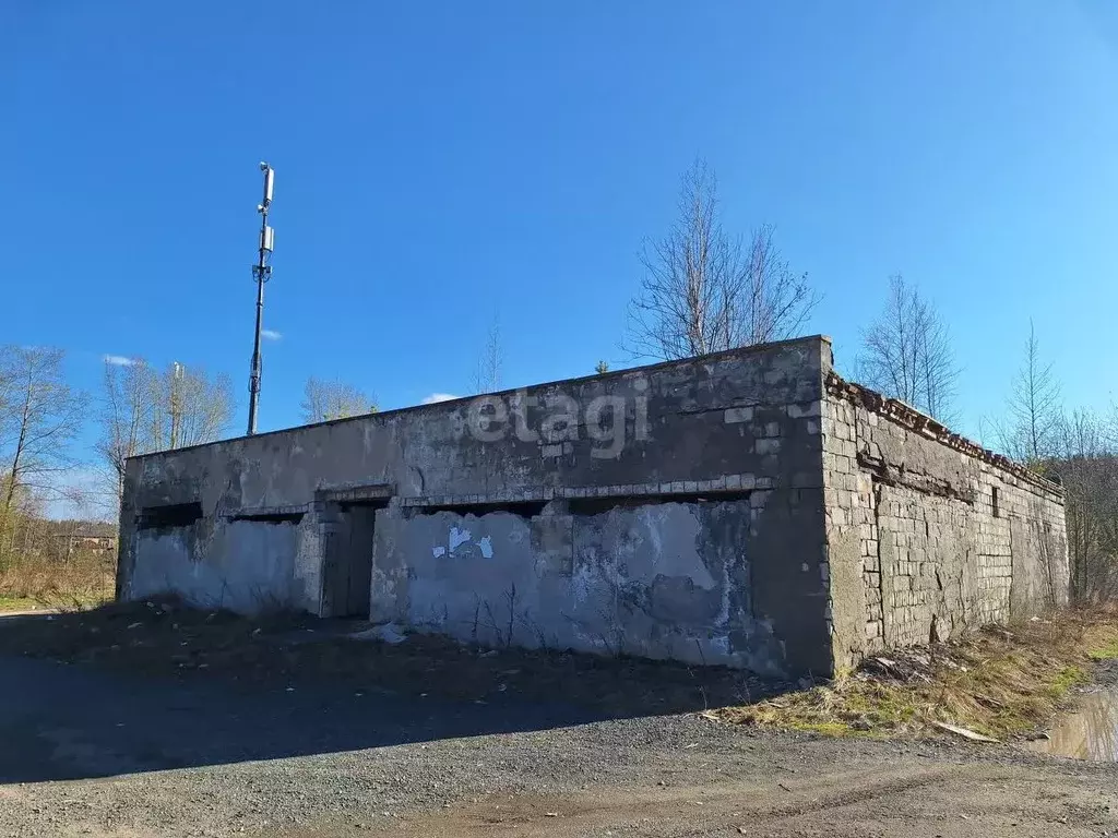 Торговая площадь в Свердловская область, Нижний Тагил ул. Геологов, 33 ... - Фото 0