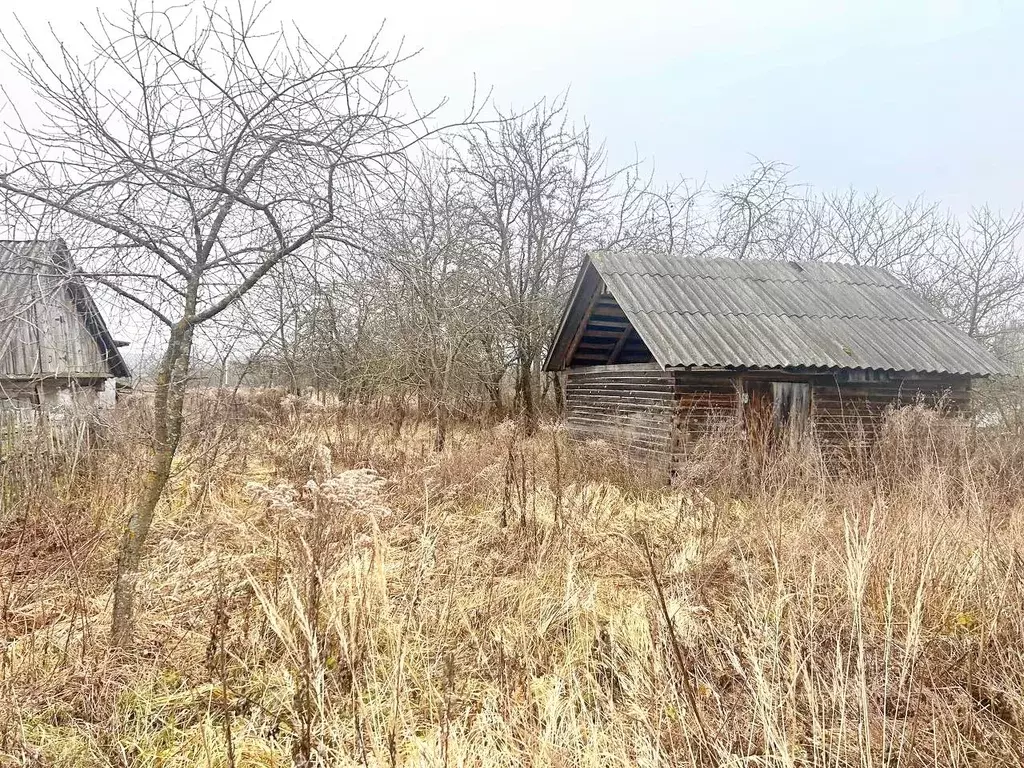 Участок в Тульская область, Заокский район, Демидовское с/пос, д. ... - Фото 2