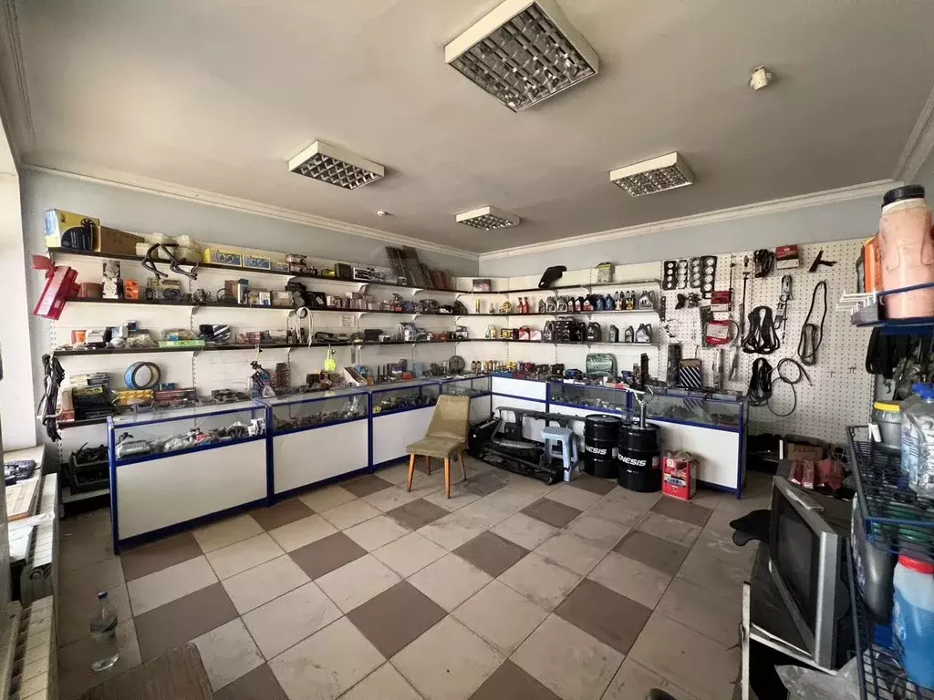 Сдам помещение свободного назначения, 32.5 м - Фото 1