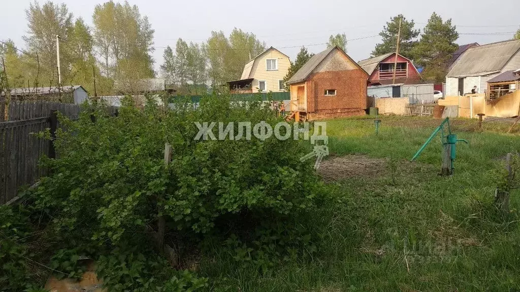 Снт Новосибирск Купить
