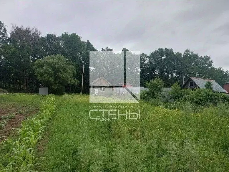 Участок в Амурская область, Благовещенский район, с. Чигири  (8.0 ... - Фото 2