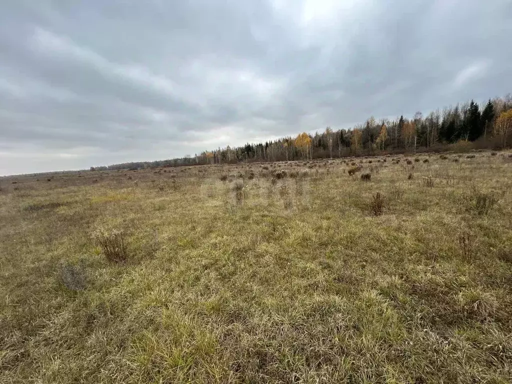 Участок в Брянская область, Брянский район, Нетьинское с/пос, пос. ... - Фото 2