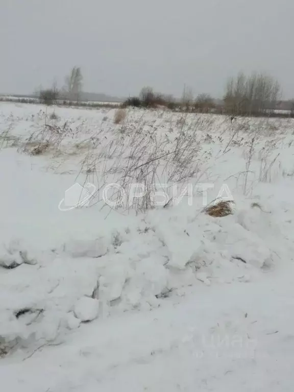 Участок в Тюменская область, Тюменский район, д. Малиновка ул. ... - Фото 0