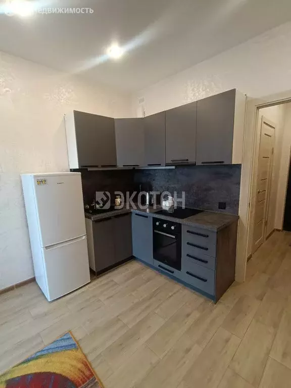 Квартира-студия: посёлок Шушары, Старорусский проспект, 8к1 (23.2 м) - Фото 2