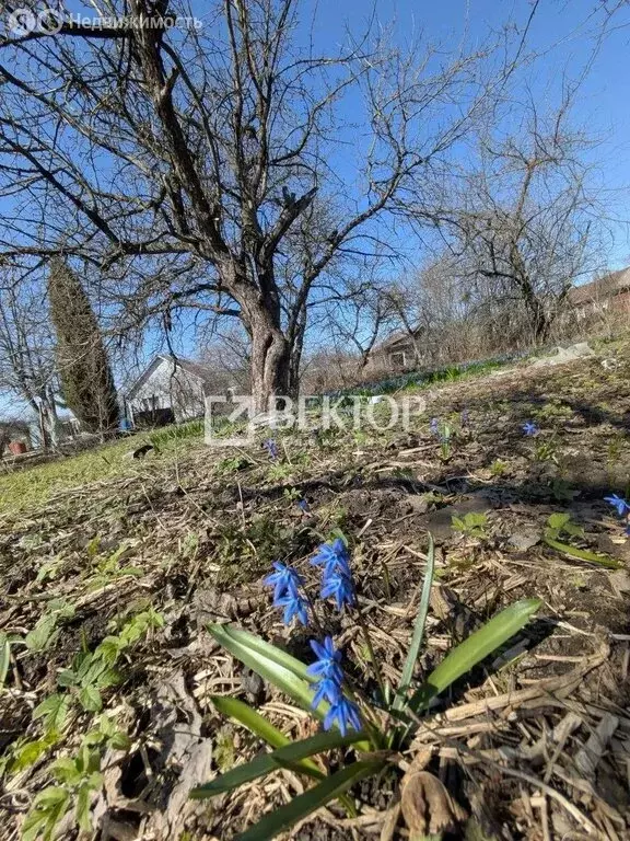 Участок в Иваново, СНТ 40 лет Октября, 31 (6.81 м) - Фото 1