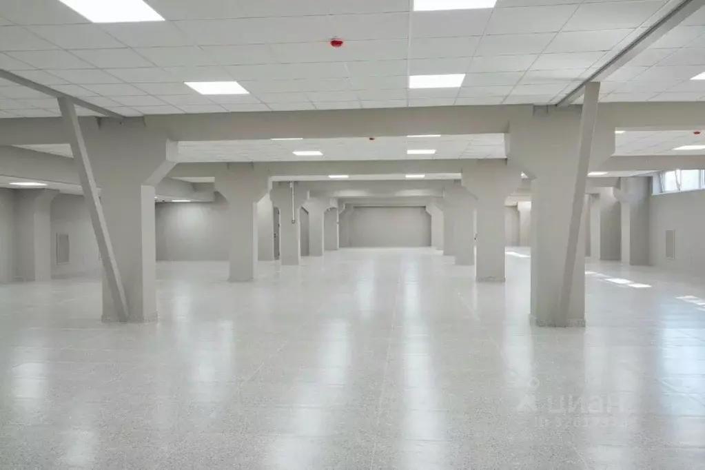 Помещение свободного назначения в Санкт-Петербург, Санкт-Петербург, ... - Фото 2