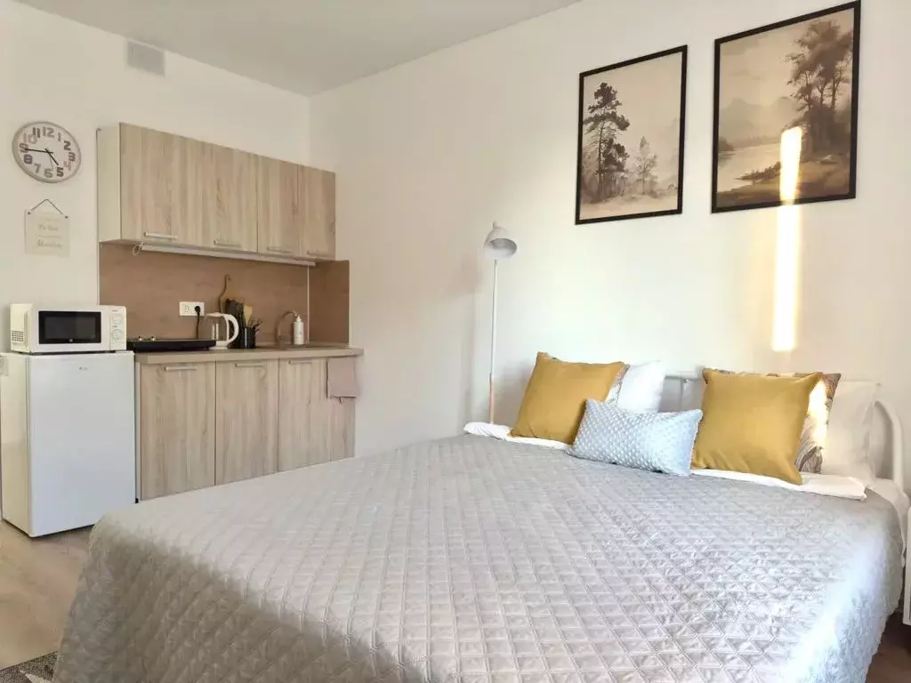 Студия Калужская область, Обнинск просп. Маркса, 99/3 (23.0 м) - Фото 2