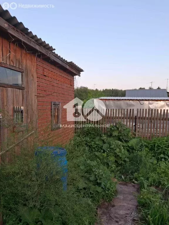 Участок в Колыванский район, СНТ Нива, Северная улица (10 м) - Фото 1