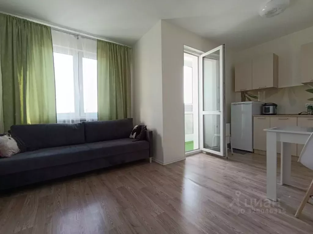 Студия Санкт-Петербург дор. Муринская, 12к1 (21.3 м) - Фото 1