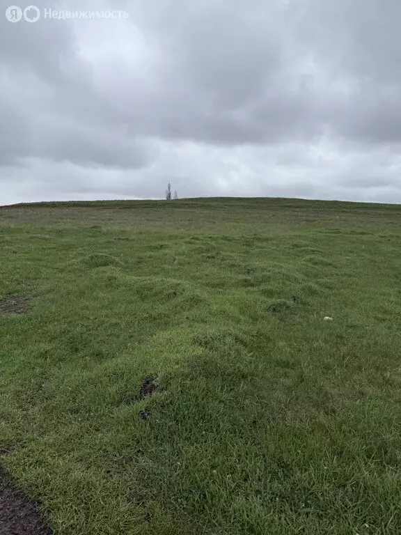 Участок в Трудовское сельское поселение, село Строгоновка, Сосновая ... - Фото 1