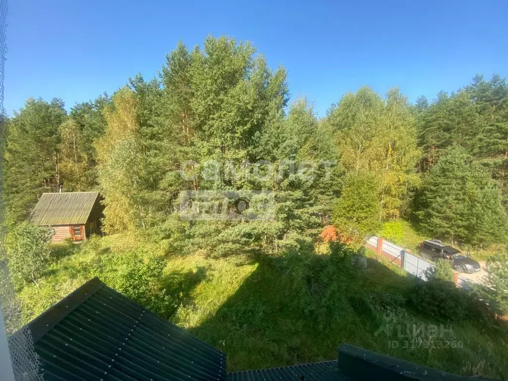 Участок в Калужская область, Дзержинский район, Дворцы с/пос, д. ... - Фото 2