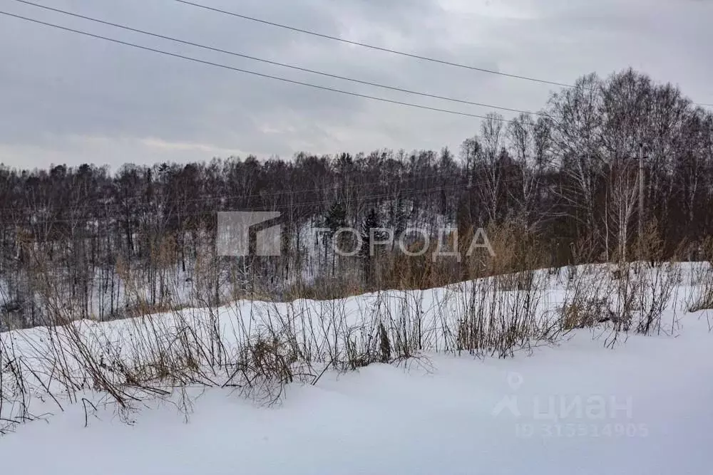 Участок в Кемеровская область, Новокузнецкий муниципальный округ, с. ... - Фото 0