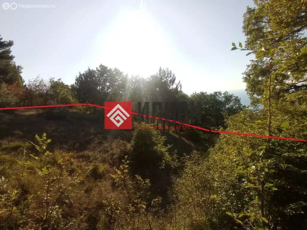 Участок в Республика Крым, муниципальный округ Ялта, посёлок ... - Фото 1