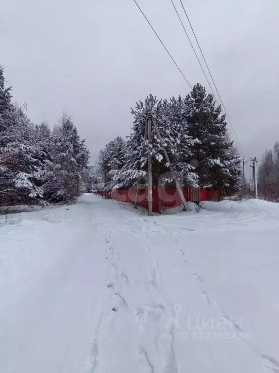 Участок в Вологодская область, Усть-Кубинский муниципальный округ, ... - Фото 2