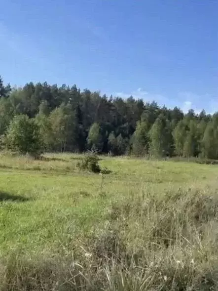 Участок в Новгородская область, Валдайский район, Короцкое с/пос, д. ... - Фото 1