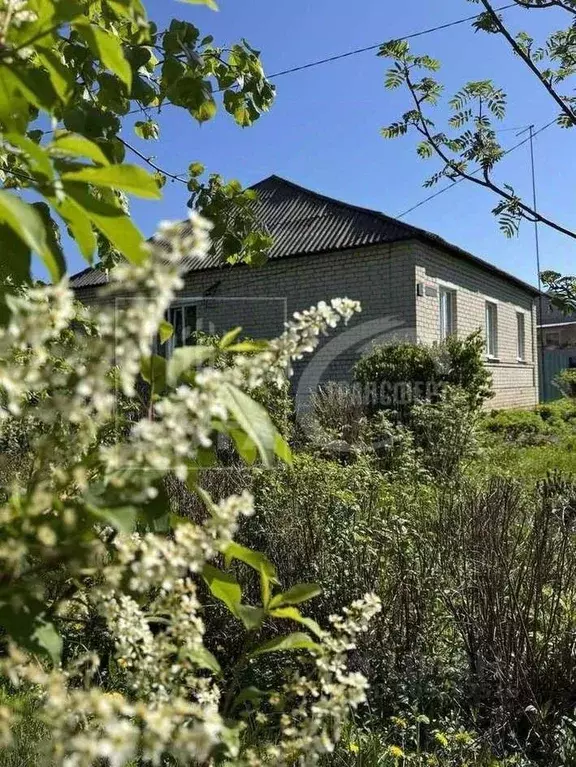 Дом в Липецкая область, Задонск ул. Добровольского, 1 (140 м) - Фото 1