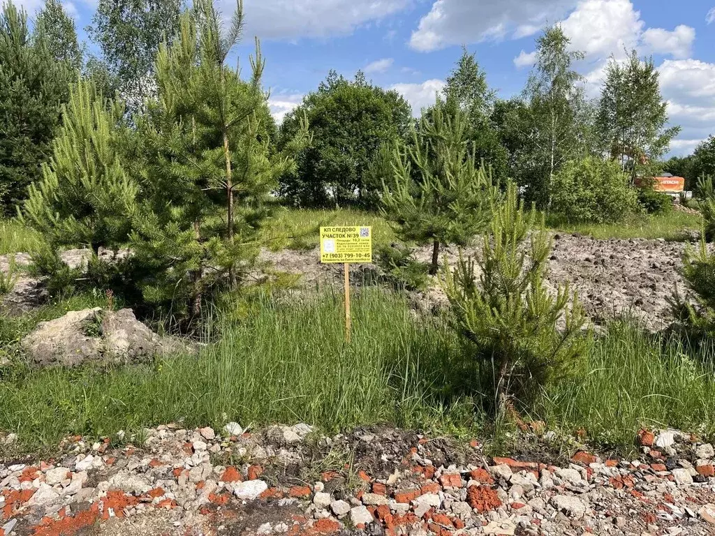 Участок в Московская область, Богородский городской округ, Следово кп ... - Фото 1