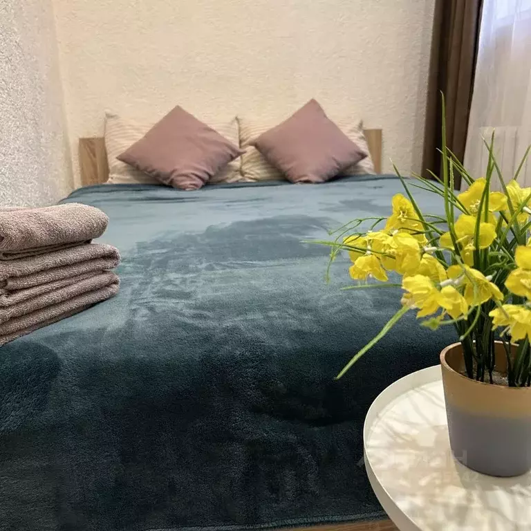 1-к кв. Татарстан, Казань Тихогорская ул., 7А (12.0 м) - Фото 2