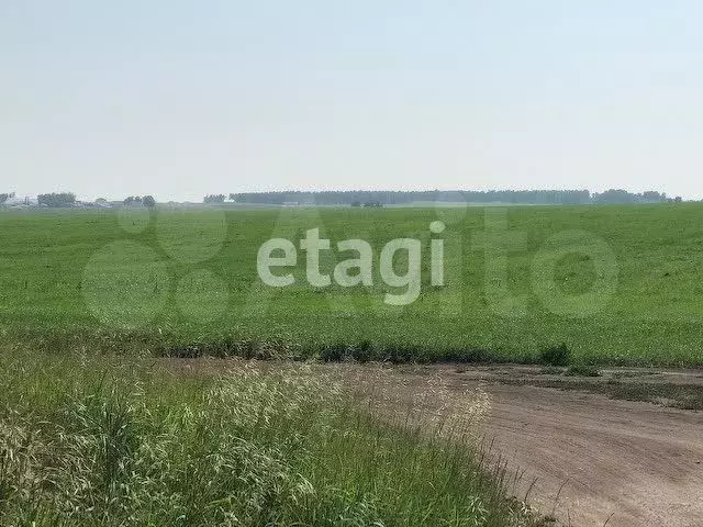 Участок 10 сот. (личное подсобное хозяйство (лпх)) - Фото 1