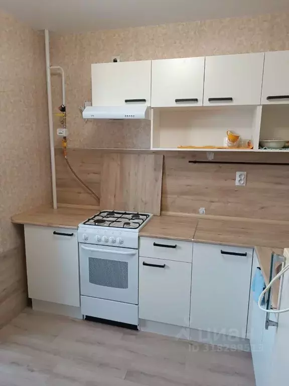 1-к кв. Пензенская область, Пенза ул. Ревунова, 4 (30.0 м) - Фото 0