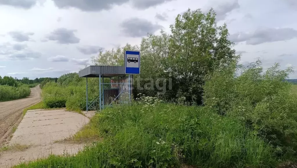 Участок в Архангельская область, Холмогорский муниципальный округ, д. ... - Фото 1