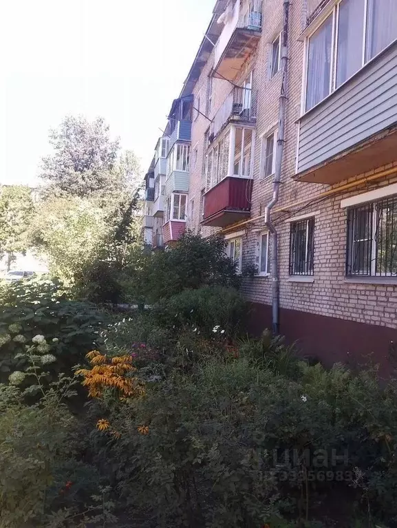 2-к кв. Московская область, Ногинск Богородский городской округ, ул. ... - Фото 1