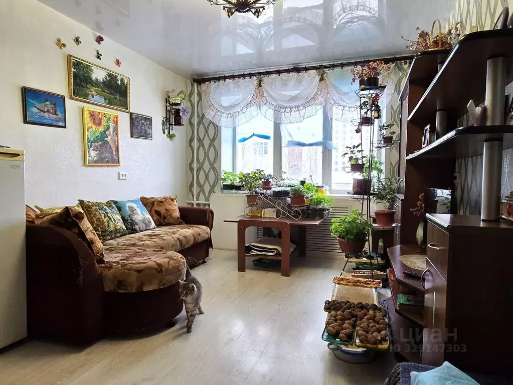 1-к кв. Кировская область, Киров ул. Ленина, 179 (31.0 м) - Фото 1