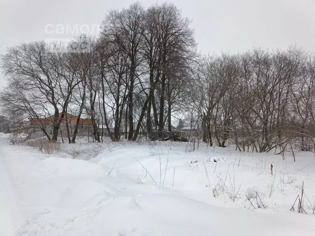 Участок в Владимирская область, Суздальский район, Боголюбовское ... - Фото 0