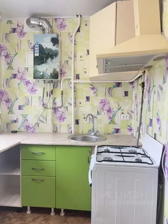 3-к кв. Нижегородская область, Богородский муниципальный округ, д. ... - Фото 2