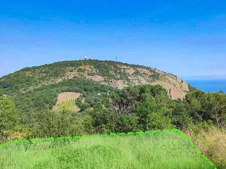 Участок в Крым, Алушта городской округ, с. Виноградное  (8.0 сот.) - Фото 0