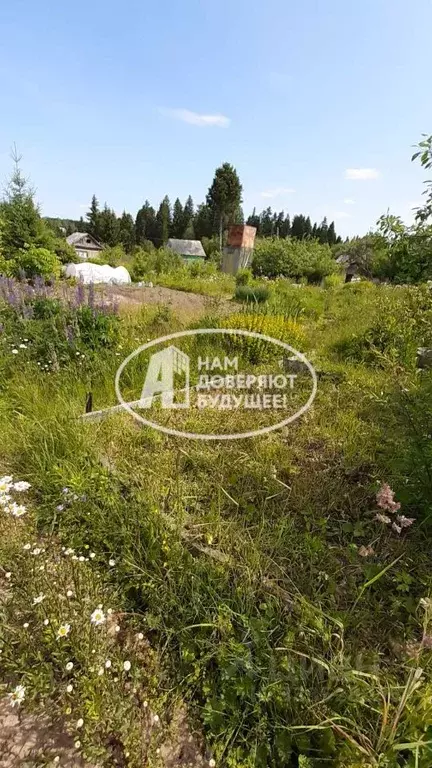 Дом в Пермский край, Добрянка Дружба садовые участки, 434 (26 м) - Фото 2