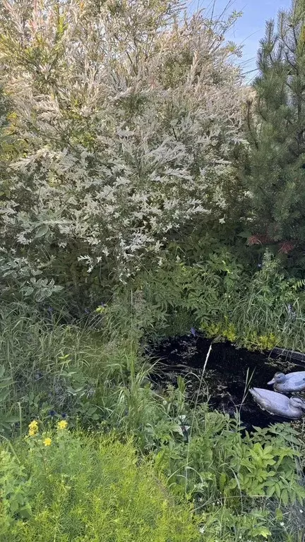 Дом в Московская область, Клин городской округ, д. Кузнечково  (25 м) - Фото 1